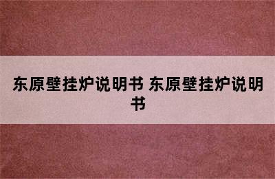 东原壁挂炉说明书 东原壁挂炉说明书